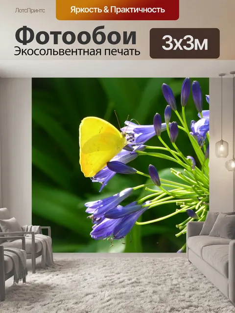 Фотообои Желтый Бабочка на фиолетовые цветы