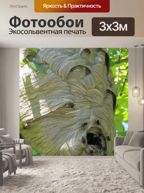 Фотообои Осиное гнездо