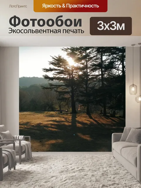 Фотообои Сосновый лес