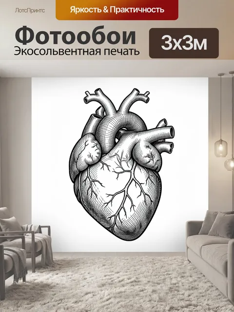 Фотообои Сердце с анатомией и мозгом