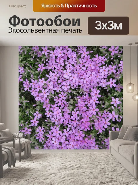 Фотообои Розовые