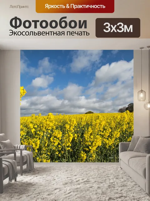 Фотообои Область желтого рапса