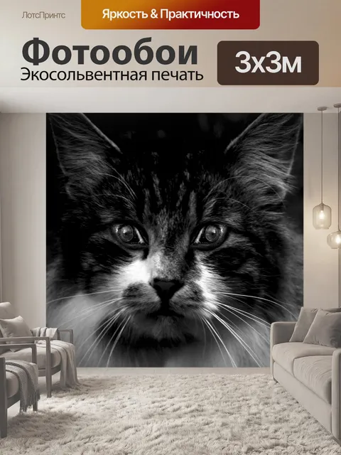 Фотообои Кошки