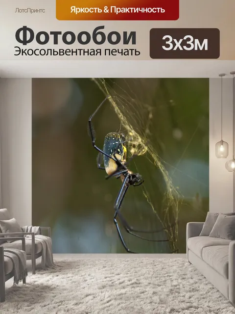 Фотообои Золотой шар ткач паук в саду