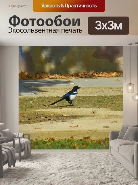 Фотообои Птицы