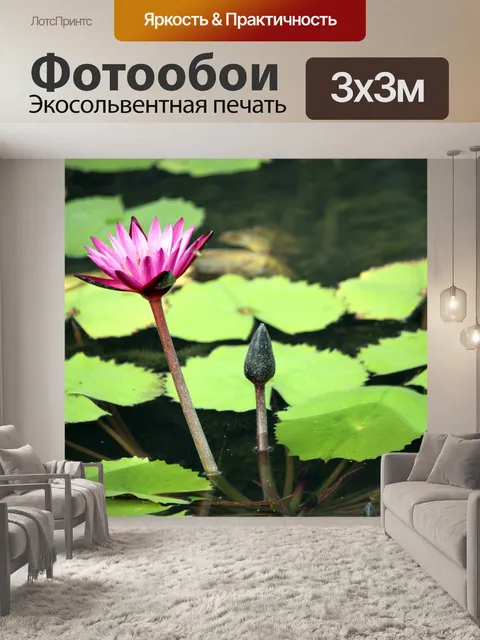Фотообои розовый цветок лотоса и листьев
