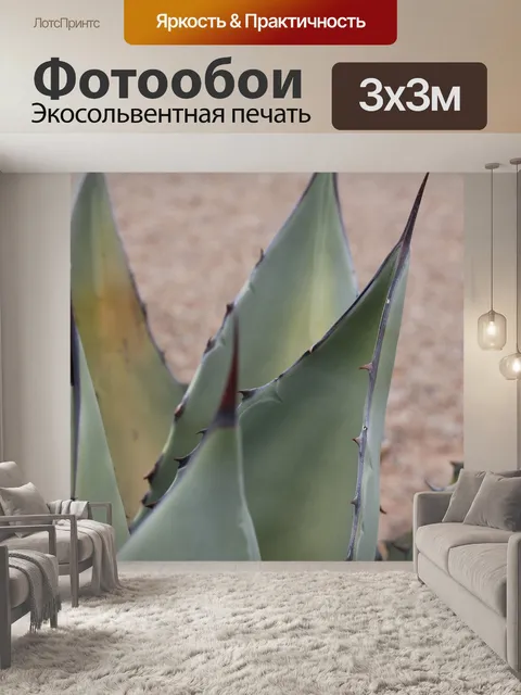 Фотообои Алоэ вера