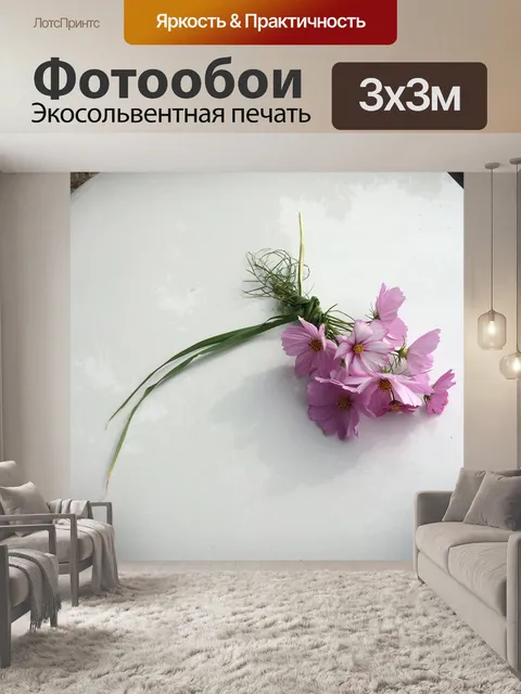 Фотообои Поло
