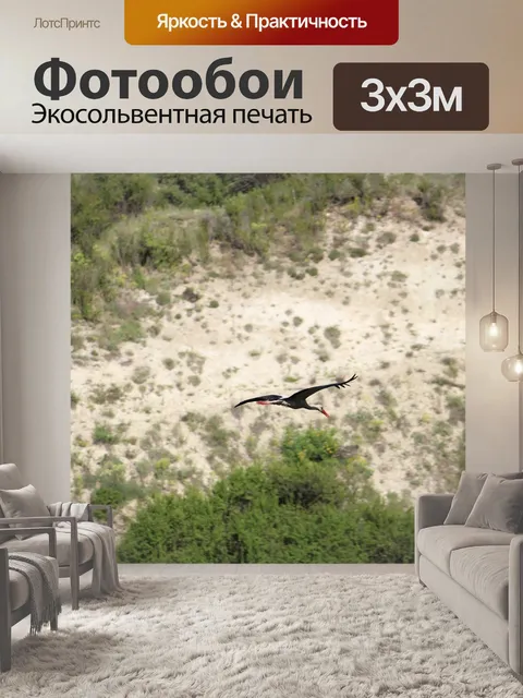 Фотообои Аист