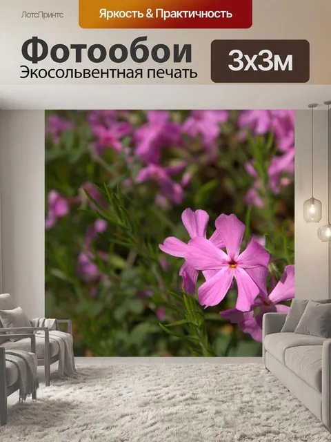 Фотообои Фиолетовый