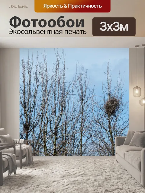 Фотообои Птичье гнездо