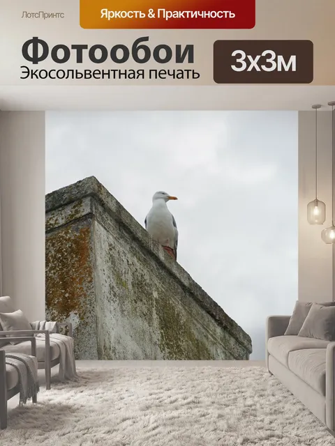Фотообои Птица на дымоходе