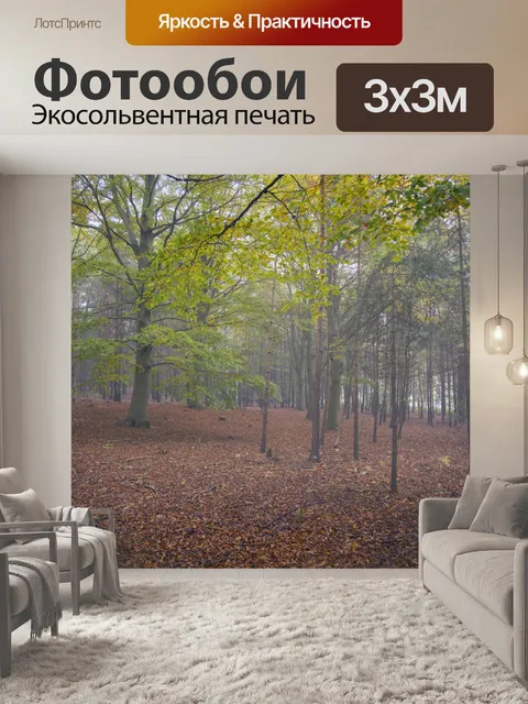 Фотообои Туманный лес