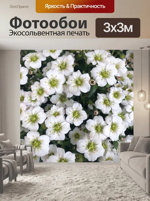 Фотообои Цветы