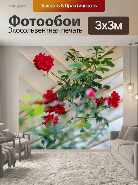 Фотообои Стена