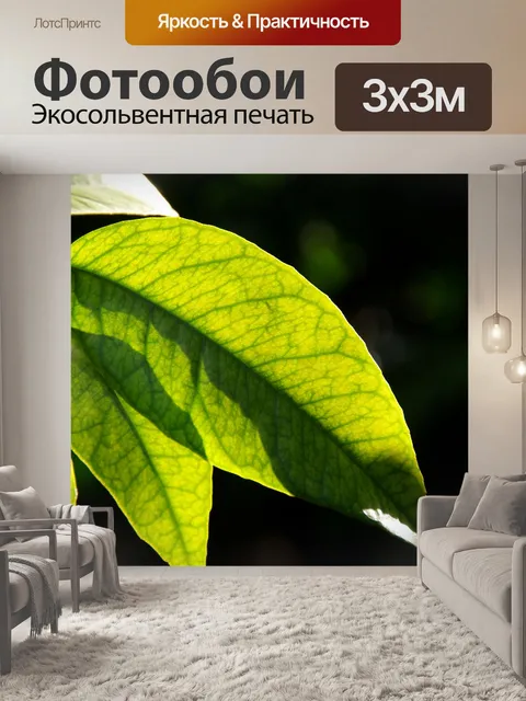 Фотообои Крупный план листьев в лесу
