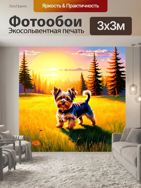 Фотообои вечерний пейзаж с йоркширским терьером на фоне заката, гуляющим по полю с золотыми колосьями
