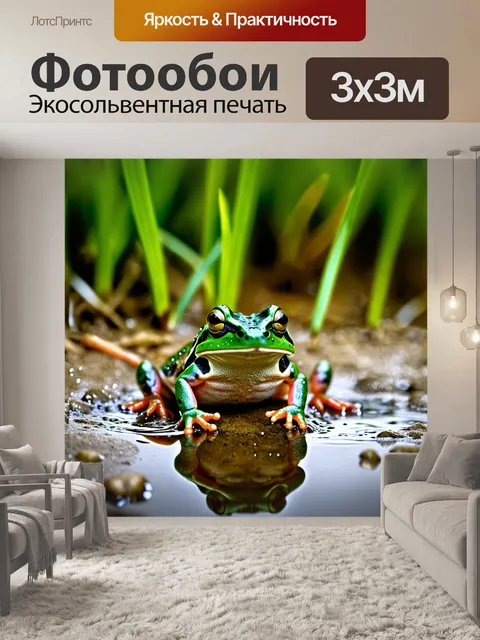 Фотообои макрофотография обыкновенной жабы, сидящей на влажной земле после дождя