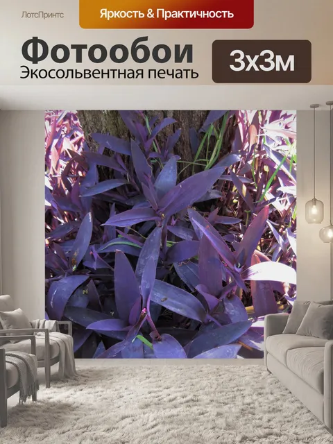 Фотообои Пурпурное сердце размашистые