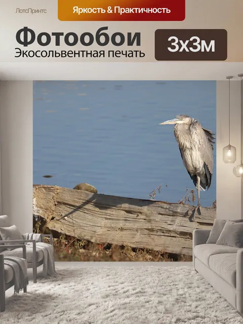 Фотообои Цапля