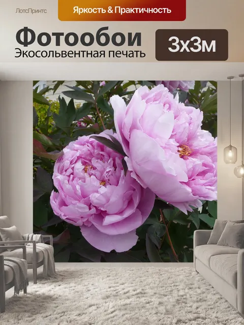 Фотообои Пионы