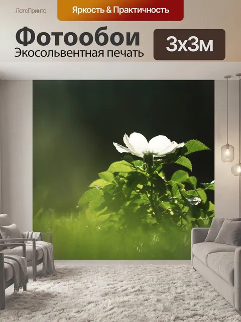 Фотообои Свет