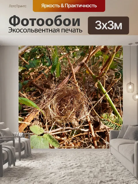 Фотообои Птичье гнездо