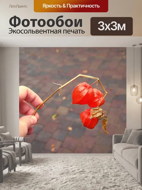 Фотообои Фонари