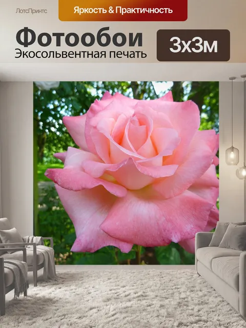 Фотообои Роза