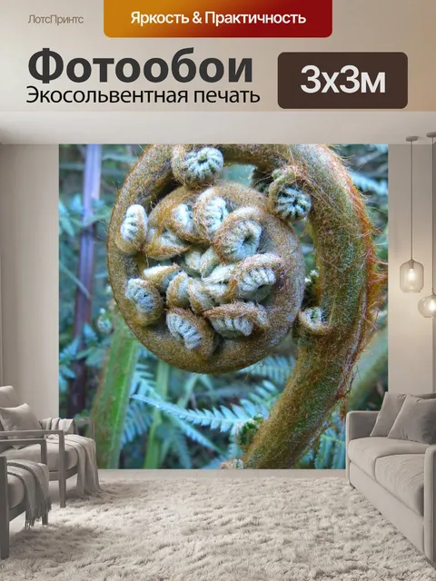 Фотообои Папоротник