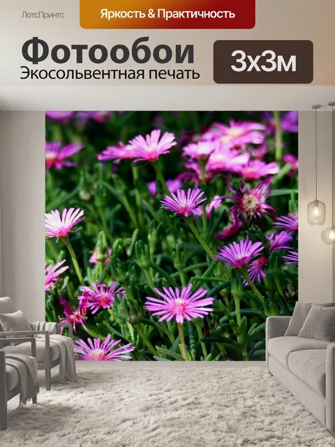 Фотообои Патч розовых vygie цветов