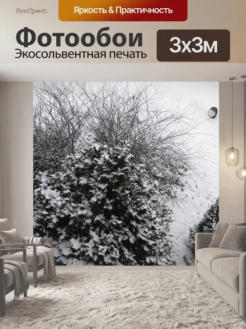 Фотообои Зима