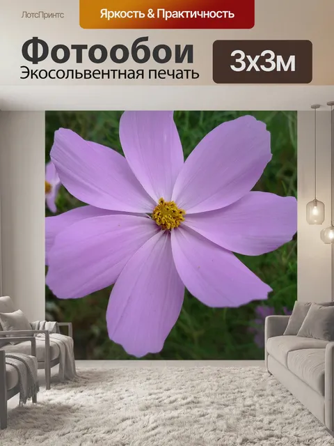 Фотообои Космос