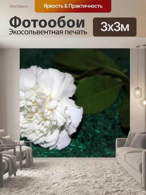 Фотообои белый цветок