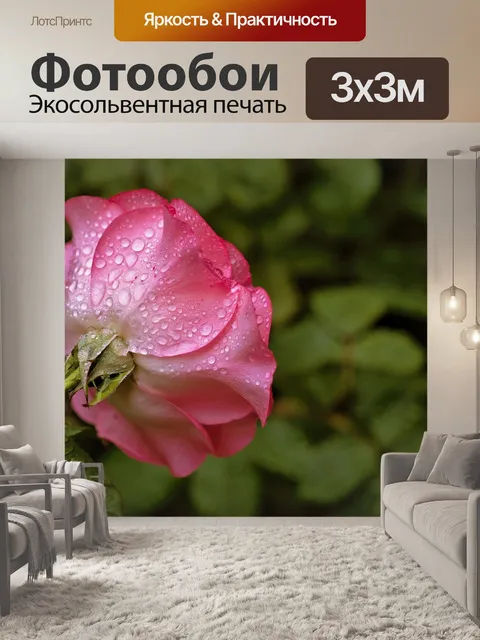 Фотообои Роза