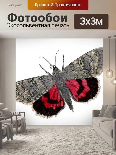 Фотообои Винтажная иллюстрация бабочки