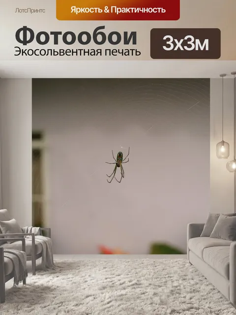 Фотообои Картинки