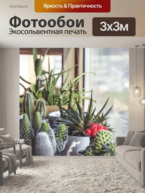 Фотообои Кактус