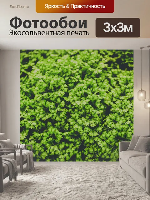Фотообои листья папоротника зеленый фон