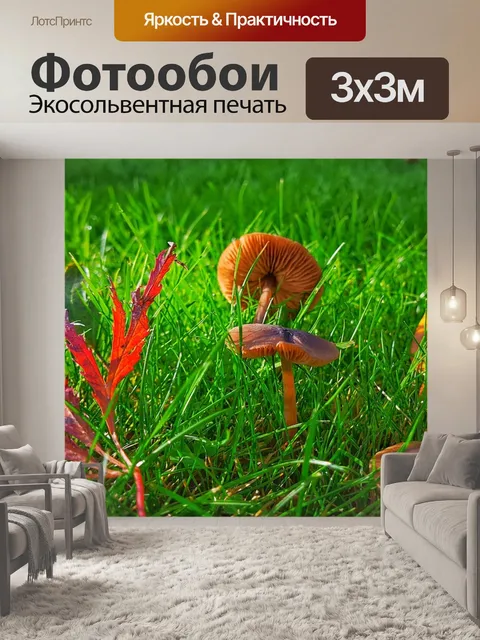 Фотообои Природа