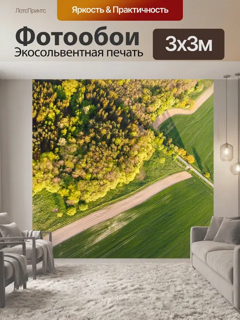 Фотообои Вид деревьев