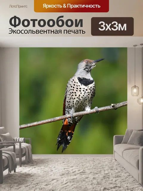 Фотообои Мерцание