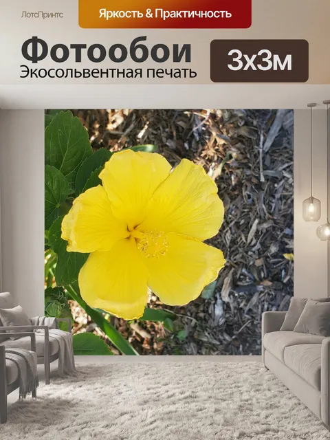 Фотообои Желтый цветок гибискуса