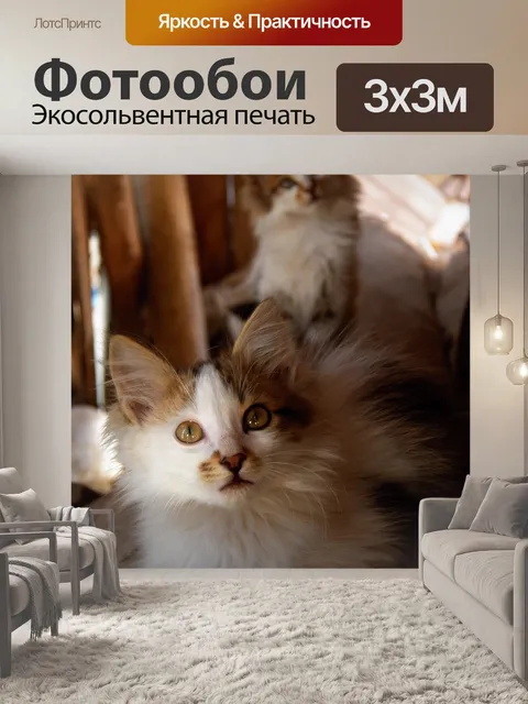 Фотообои Кошки