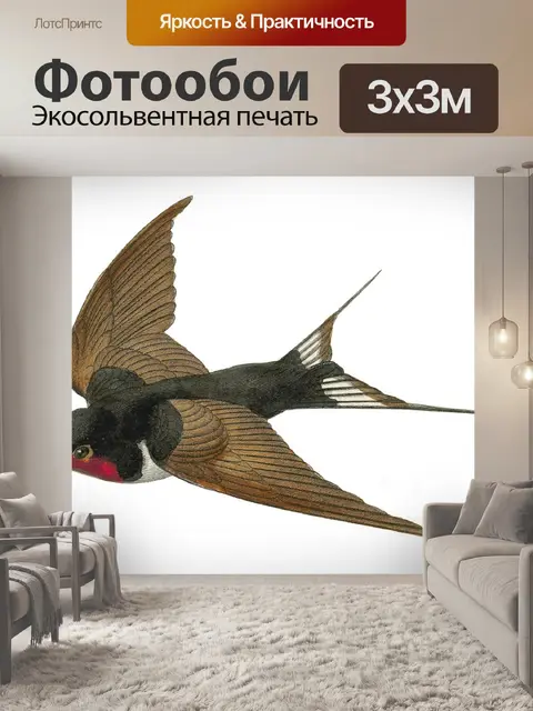 Фотообои Иллюстрация винтажного искусства птиц