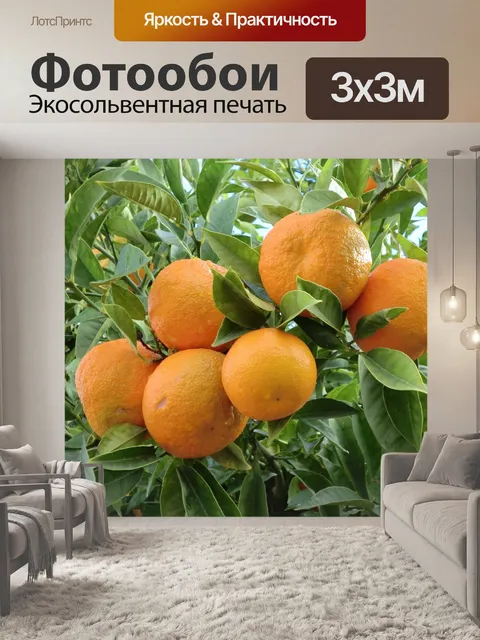 Фотообои Еда