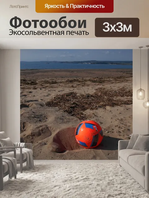 Фотообои Футбол