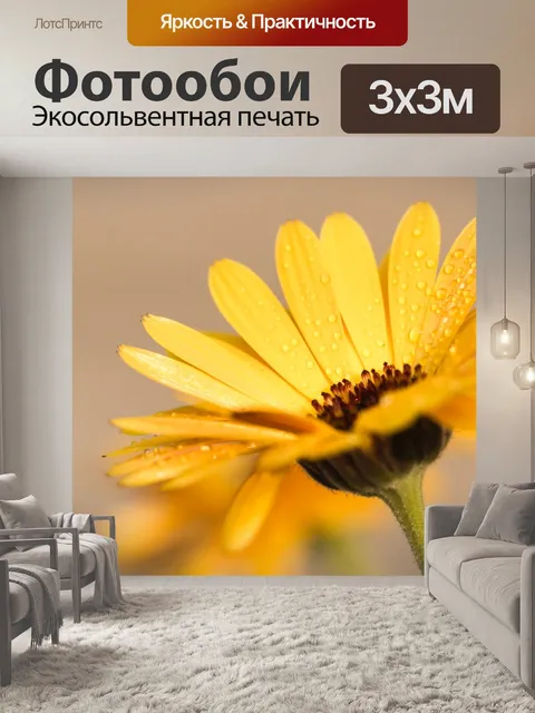 Фотообои Календулы