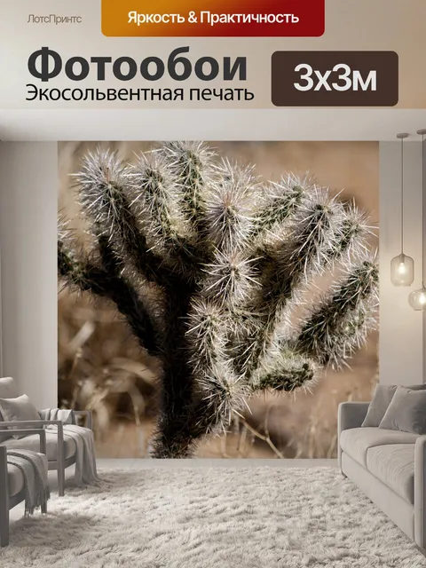Фотообои Мишка Медведь Cholla Кактус