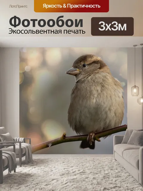 Фотообои Воробей Воробей Птица